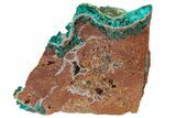 Green Dioptase Crystals on Dolomite - Mpita Prospect, Congo #131260-1